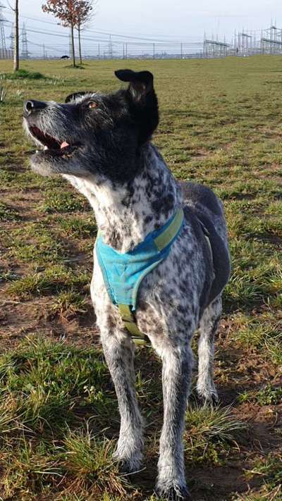 Fotochallenge Nr.105  Glücksmomente-Beitrag-Bild