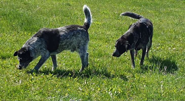 Fotochallenge 130-Beitrag-Bild