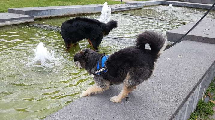 Fotochallenge 27-Beitrag-Bild