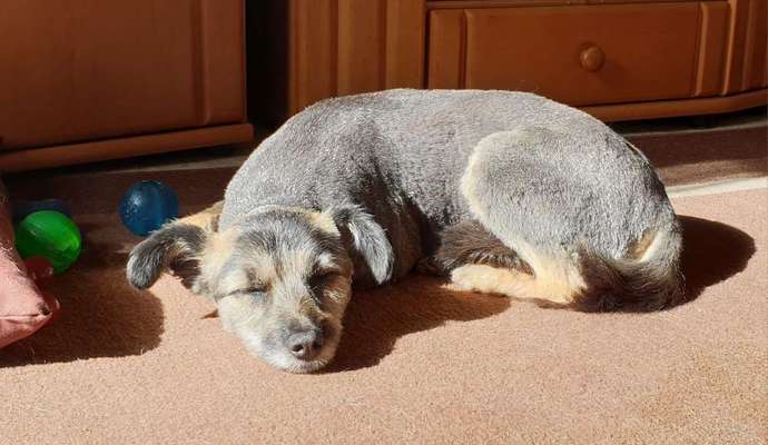 Foto Challenge Nr. 134-Beitrag-Bild