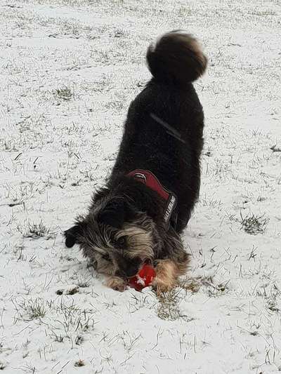 Challenge Nr. 15
Spiel im Schnee-Beitrag-Bild