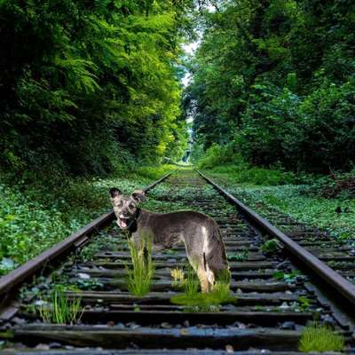 Photoshop und Co.-Beitrag-Bild