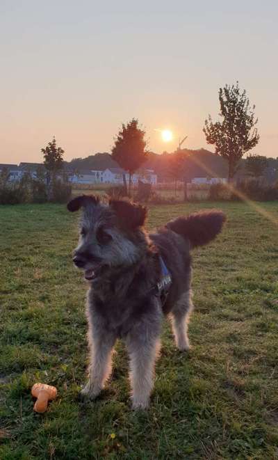 18. Farben Fotochallenge: Sonnenuntergang-Beitrag-Bild