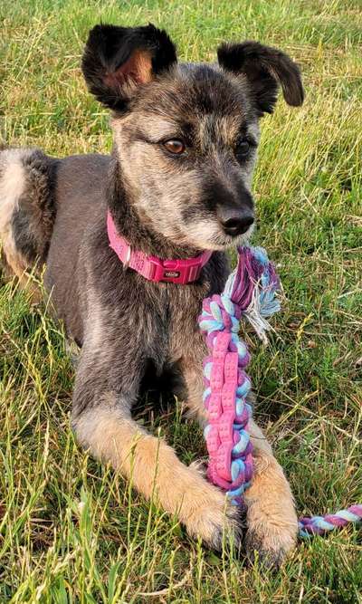 19. Farben  Fottochallenge :
Lieblingsfarbe-Beitrag-Bild