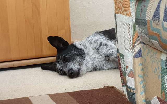 Foto Challenge Nr. 134-Beitrag-Bild