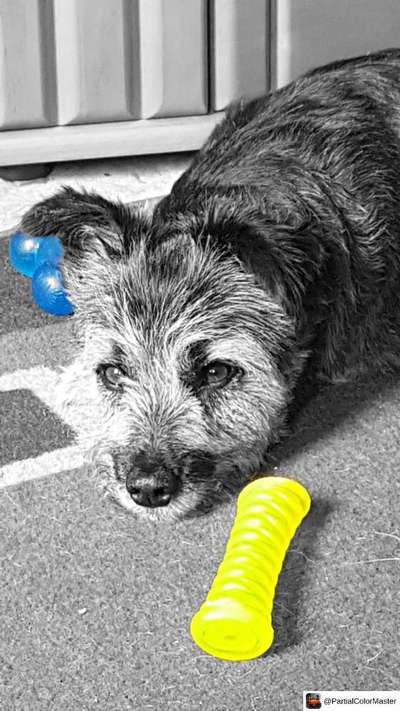 Photoshop und Co.-Beitrag-Bild