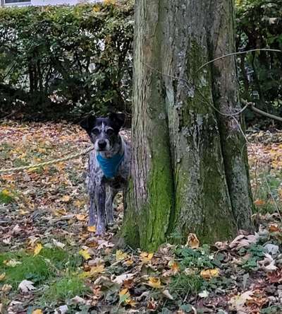 27. Handy Fotochallenge-Beitrag-Bild