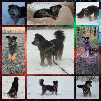 13. Collage- Challenge 
Beschäftigung in der kalten Jahreszeit-Beitrag-Bild