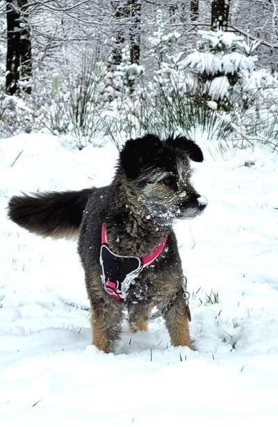 14. Farbenfoto-Challenge "Weiss"-Beitrag-Bild