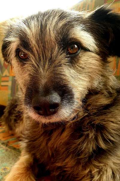 Fotochallange Nr. 57     PORTRÄT.   Beendet!!!!!!!!-Beitrag-Bild