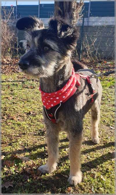 Fotochallenge Nr. 29 - Accessoires-Beitrag-Bild