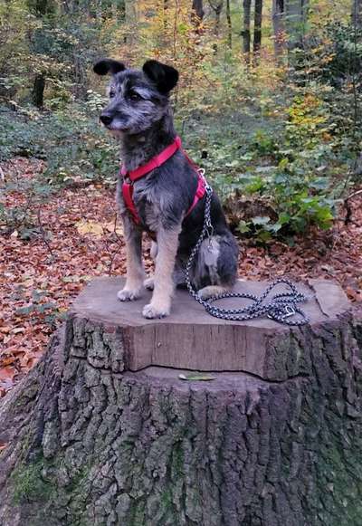 27. Handy Fotochallenge-Beitrag-Bild