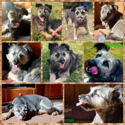 18. Collagen Challenge - Zunge raus!-Beitrag-Bild