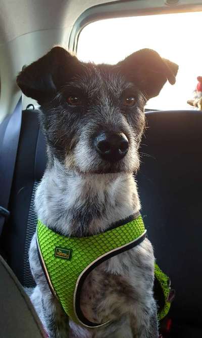 117. Fotochallenge-Beitrag-Bild