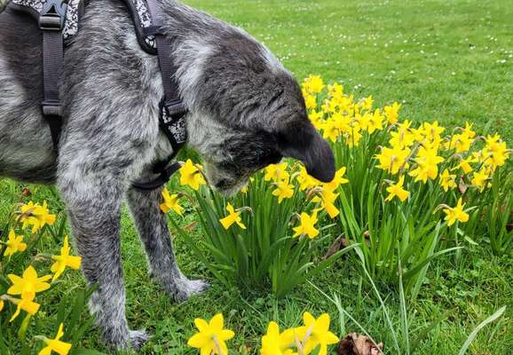 Fotochallenge Nr. 126-Beitrag-Bild