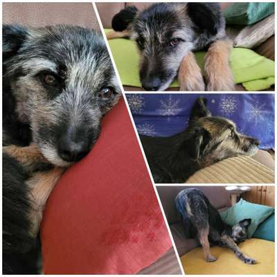 48. Collagen Challenge: Das Leben ist bunt-Beitrag-Bild