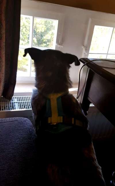 120. Fotochallenge-Beitrag-Bild