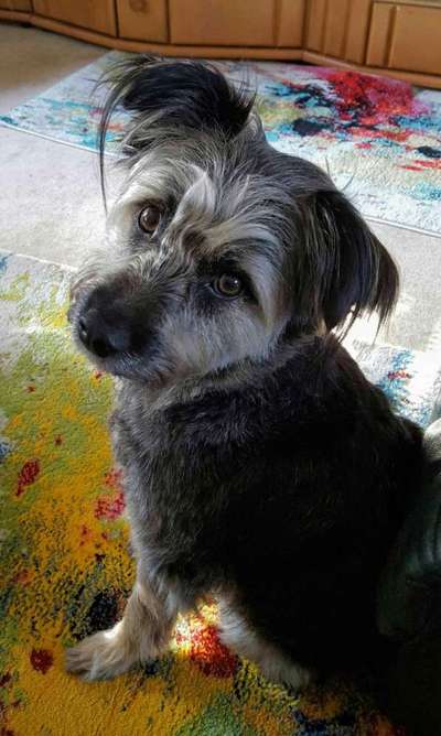 Handy-Foto Challange Nr. 10-Beitrag-Bild