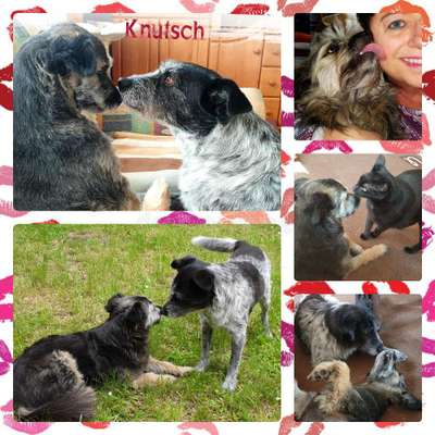 46. Collage Challenge -KNUTSCHEN--Beitrag-Bild