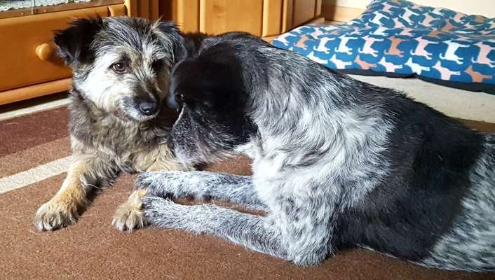 Fotochallenge Nr. 62 Romantische Momente-Beitrag-Bild