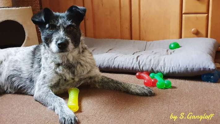 15. Handyfoto Challenge - Indoor Aktivitäten-Beitrag-Bild