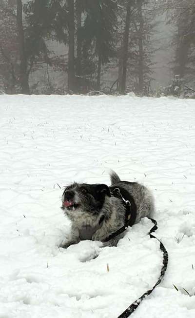 Challenge Nr. 15
Spiel im Schnee-Beitrag-Bild