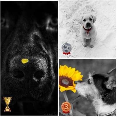 6. Farben Foto Challenge: "ColourKey Effekt"-Beitrag-Bild