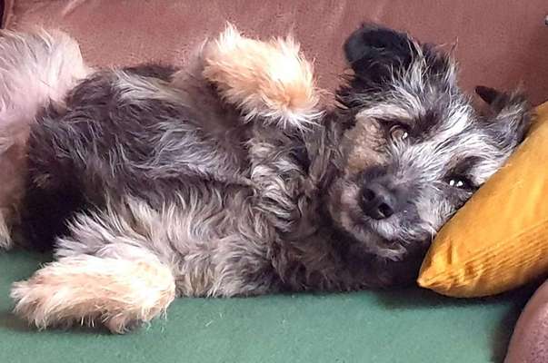 Fotochallenge Nr.65-Beitrag-Bild