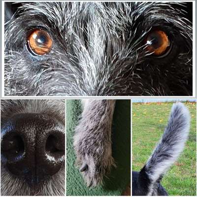 7. Collagen Challenge - Ganz Nah-Beitrag-Bild