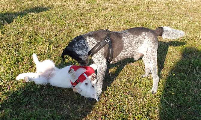 Foto Challenge Nr.: 115-Beitrag-Bild