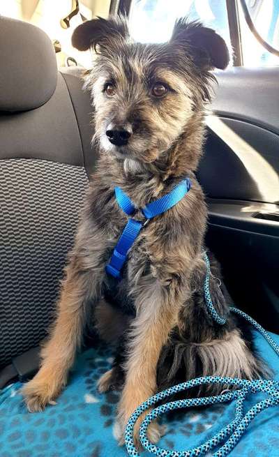 10. Farben Foto-Challenge ---- Blau-Beitrag-Bild