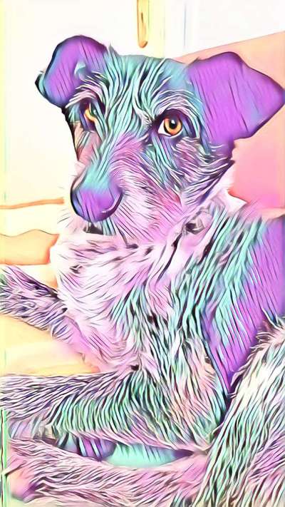 17. Farben Foto Challenge: Pastellfarben-Beitrag-Bild