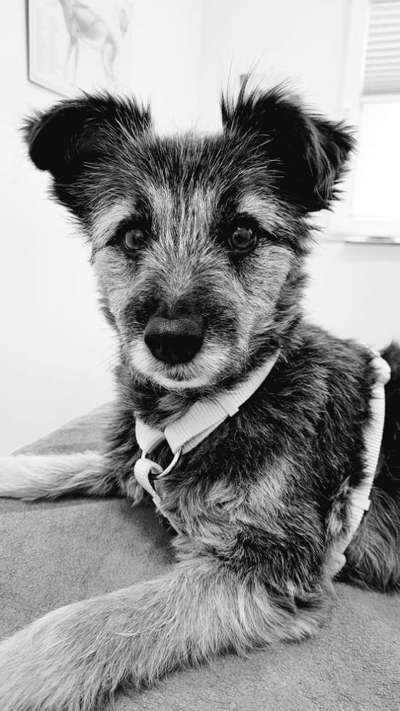 3. Farben/Fotochallenge: Schwarz/Weiß-Beitrag-Bild