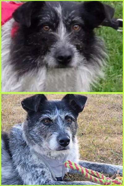 28. Handy-Fotochallenge - Damals und heute-Beitrag-Bild