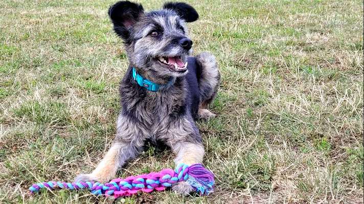 Fotochallenge Nr.105  Glücksmomente-Beitrag-Bild