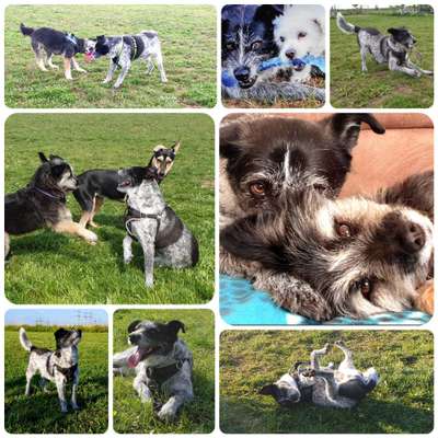 22. Collagen Challenge- Lebensfreude-Beitrag-Bild