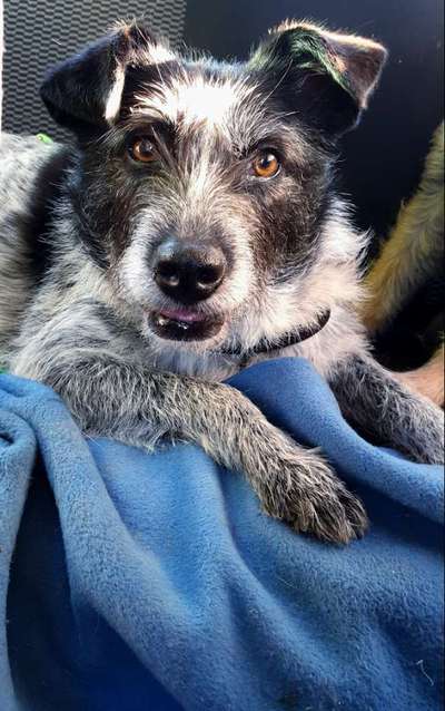 10. Farben Foto-Challenge ---- Blau-Beitrag-Bild