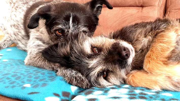 23. Farben / Fotochallenge - Türkis --Beitrag-Bild