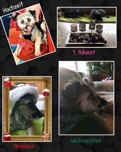 8. Collagen Challenge - Feste/Feierlichkeiten-Beitrag-Bild