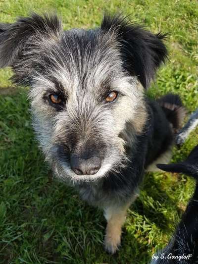 Von oben-Beitrag-Bild