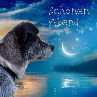 Photoshop und Co.-Beitrag-Bild