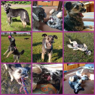 22. Collagen Challenge- Lebensfreude-Beitrag-Bild