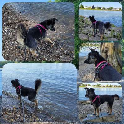 37. Collagen Challenge- Am Strand-Beitrag-Bild