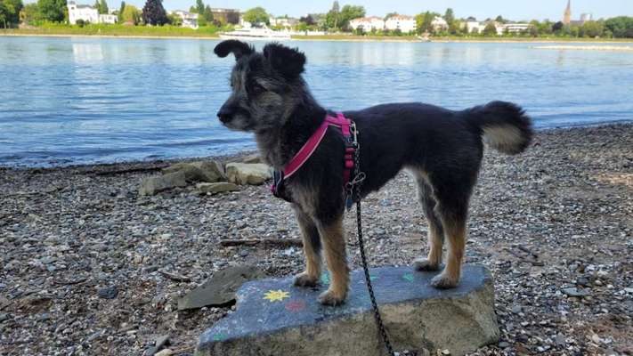 Eure schönsten Fotos mit Wasser-Beitrag-Bild