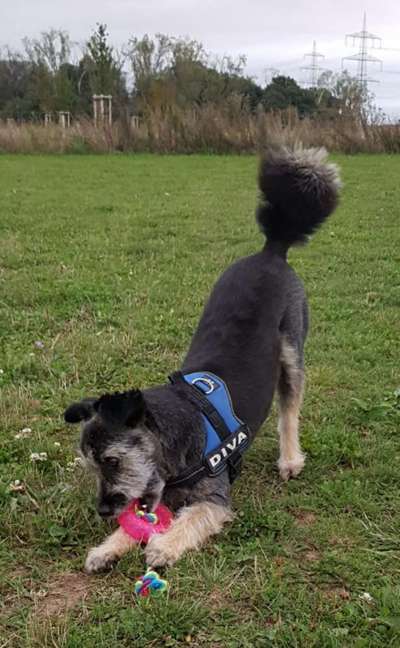 Blick fürs Detail!-Beitrag-Bild