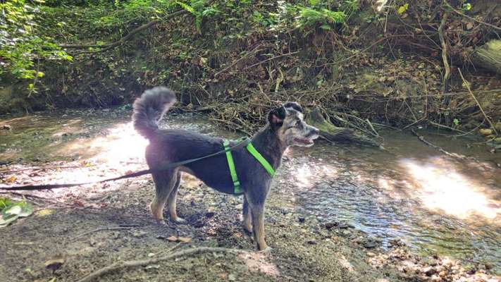 Eure schönsten Fotos mit Wasser-Beitrag-Bild