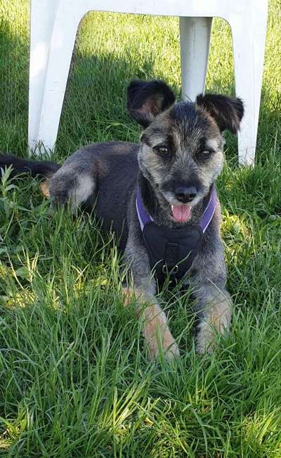 140. Foto Challenge - schattiges Plätzchen-Beitrag-Bild