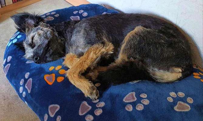 CHALLENGE NR. 34 - Liege-/Schlafpositionen-Beitrag-Bild