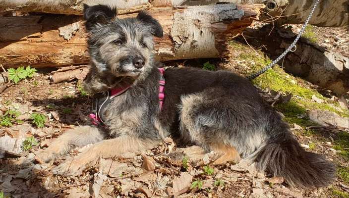 Fotochallenge No. 26                                     Wald und Wiese-Beitrag-Bild