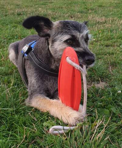 Fotochallenge Nr. 64-Beitrag-Bild